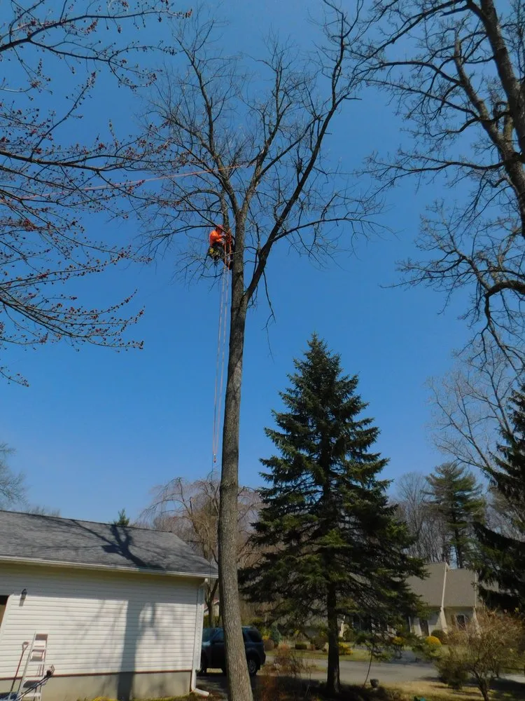 Custom lawn care service with custom design across Holyoke, MA - Broad Reach Crane & Tree Service