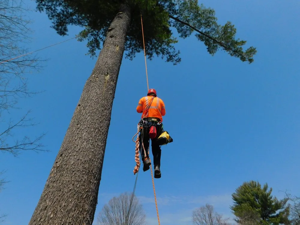 Trusted residential landscaping experts serving Holyoke, MA - Broad Reach Crane & Tree Service