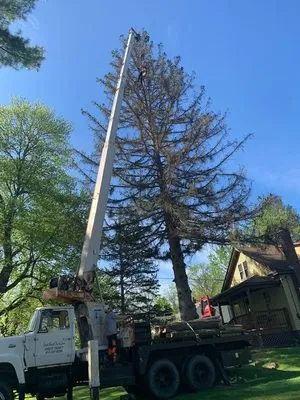 Broad Reach Crane & Tree Service