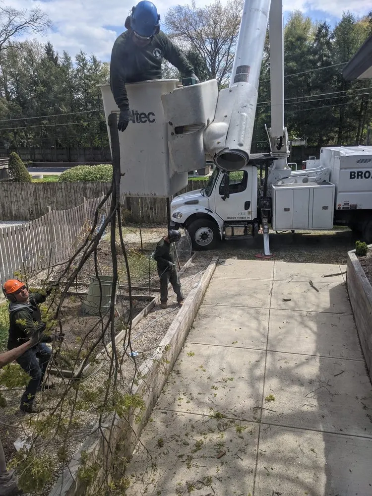 Expert yard maintenance experts serving Indianapolis, IN - Broad Ripple Tree Service