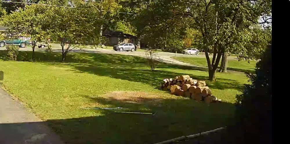 Trusted landscape design experts serving Indianapolis, IN - Broad Ripple Tree Service