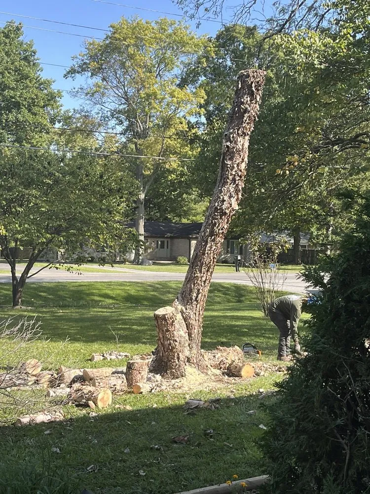 Expert yard maintenance in Indianapolis, IN - Broad Ripple Tree Service