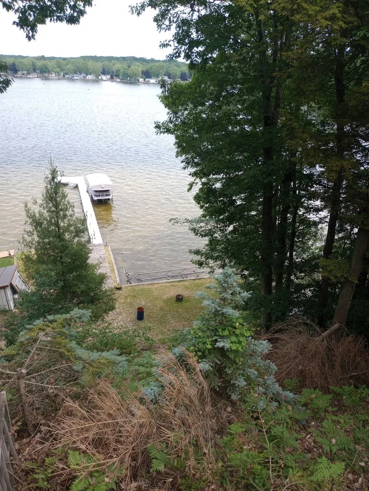 Expert yard cleanup service experts serving Ludington, MI - Broad Spectrum Services