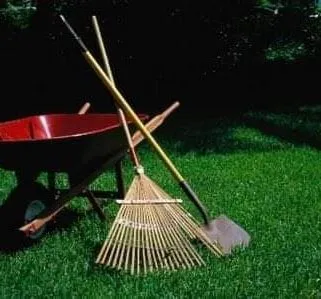 Affordable lawn mowing service in Ludington, MI by Broad Spectrum Services