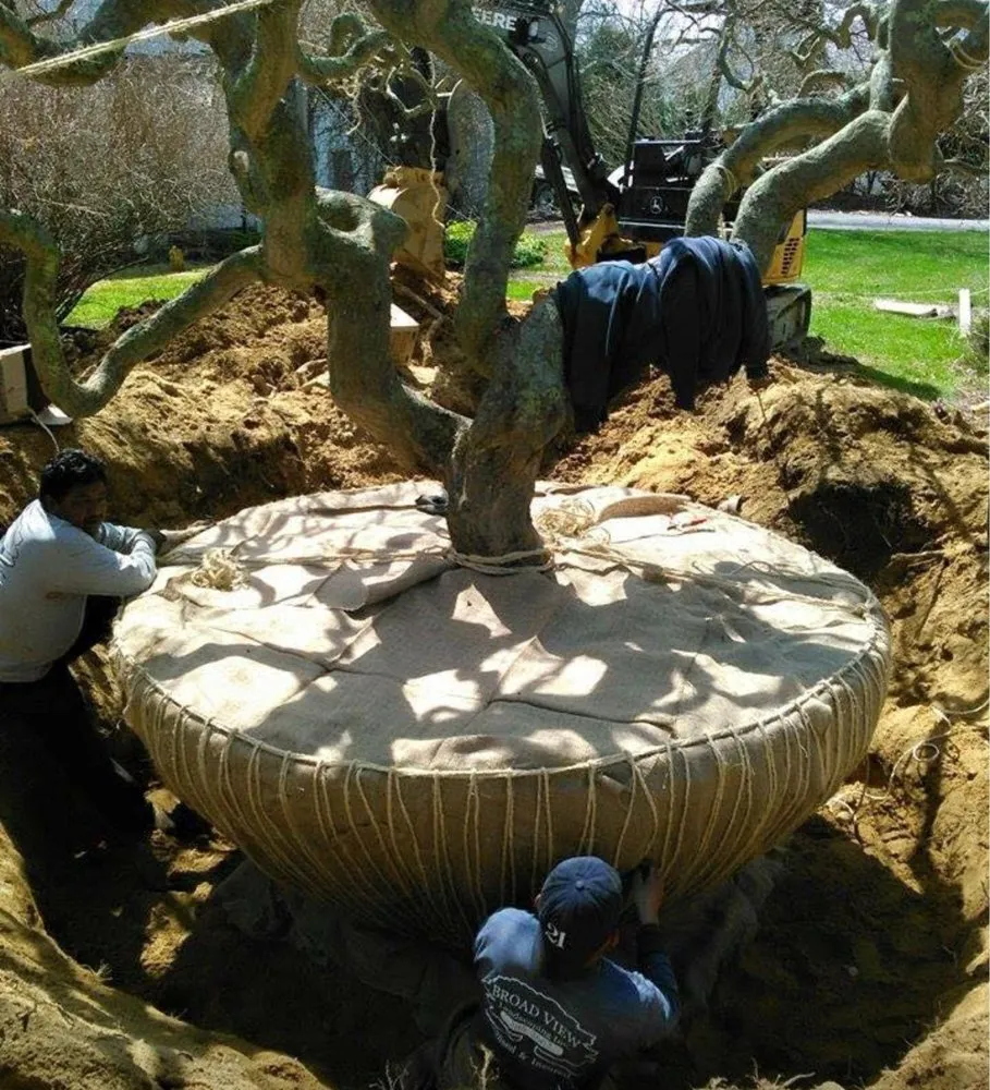 Local landscape design for residential properties across Westhampton Beach, NY - Broad View Landscaping