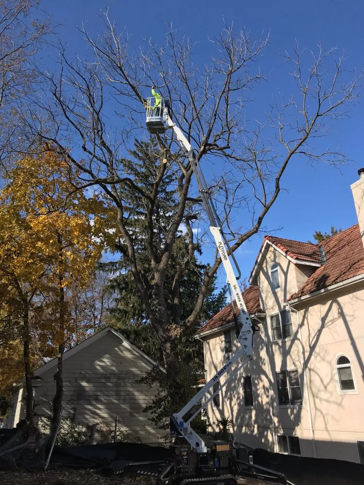 Custom residential landscaping in Gaithersburg, MD - Broadleaf Grounds Works