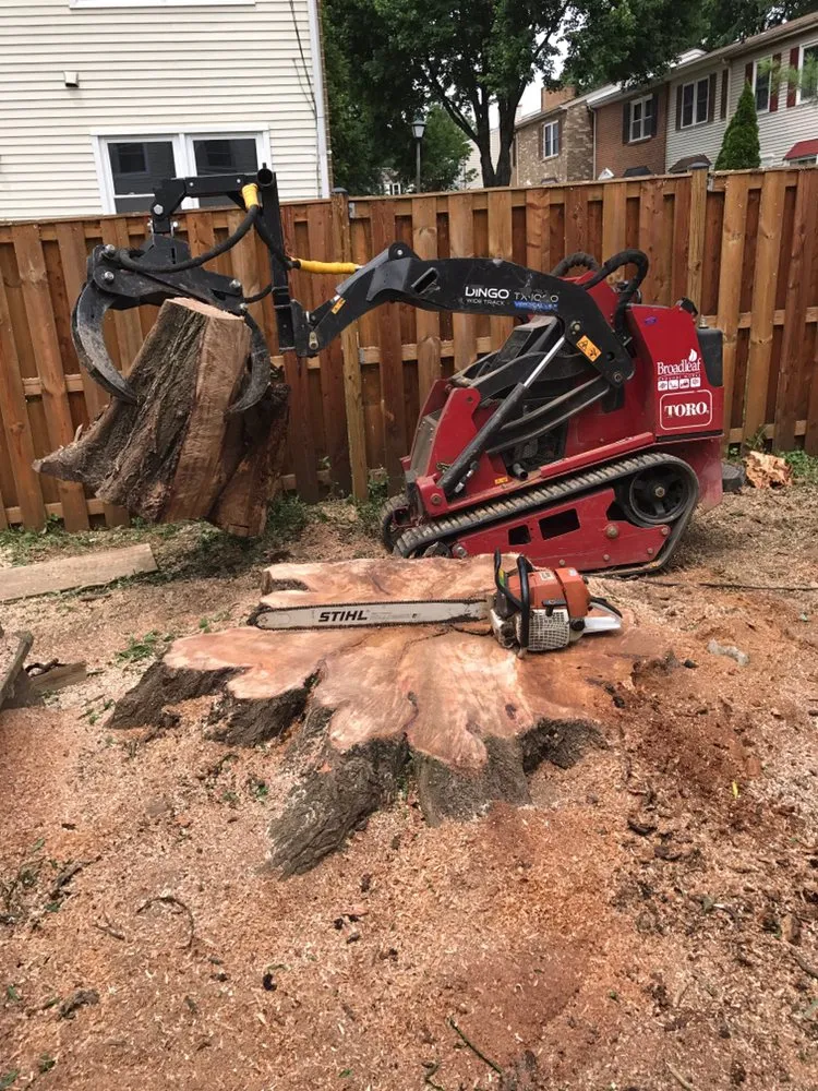 Reliable yard cleanup service experts serving Gaithersburg, MD - Broadleaf Grounds Works