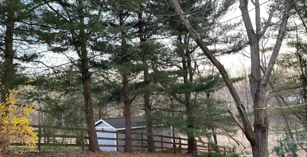 Professional lawn mowing service for beautiful yards in Gaithersburg, MD by Broadleaf Grounds Works