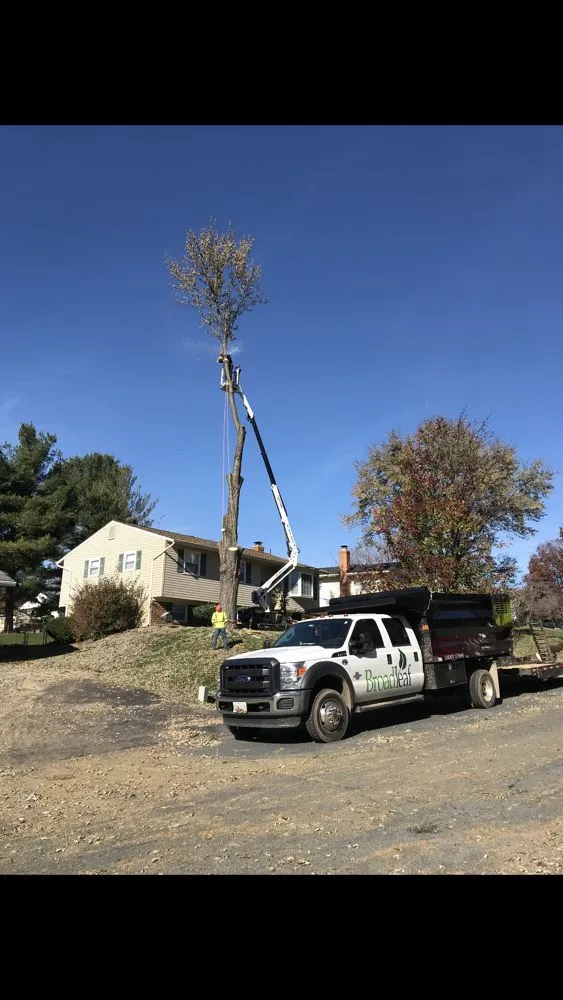 Trusted lawn mowing service near you in Gaithersburg, MD by Broadleaf Grounds Works