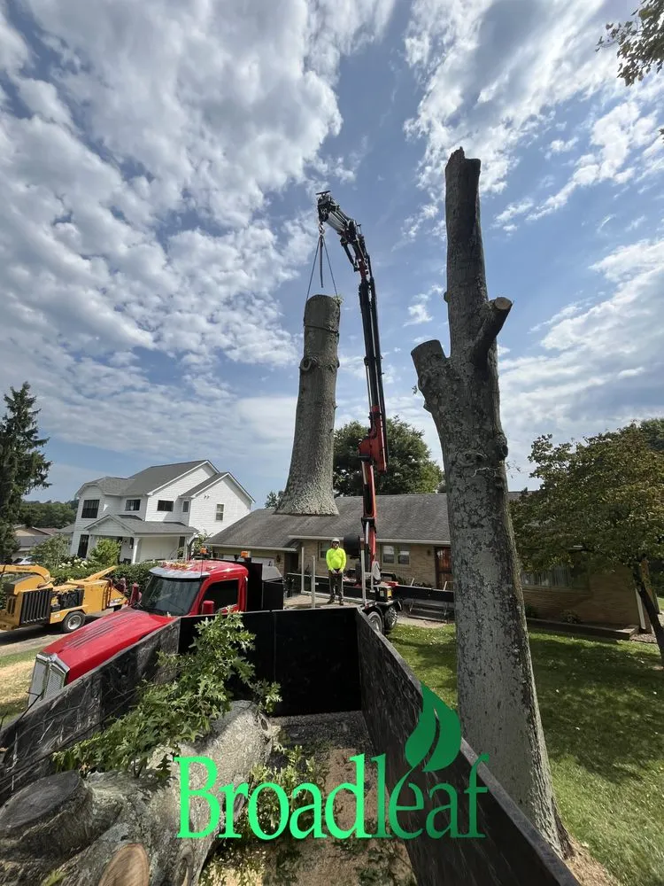 Reliable landscape design for outdoor upgrades in Gaithersburg, MD by Broadleaf Grounds Works