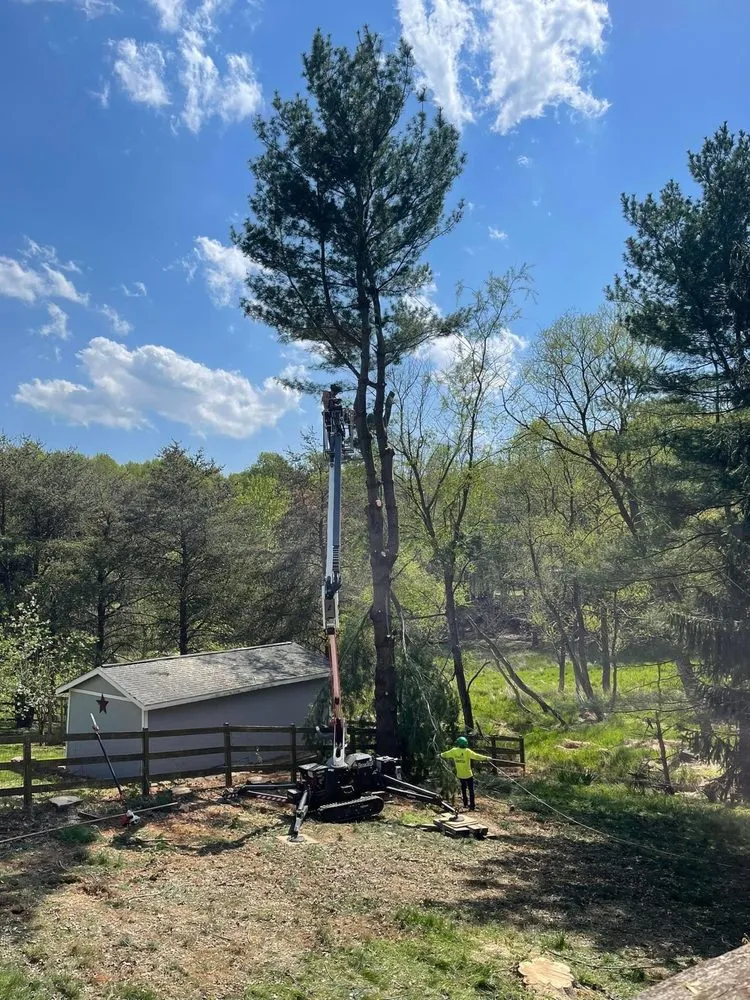 Top-rated outdoor landscaping for residential properties across Gaithersburg, MD - Broadleaf Grounds Works