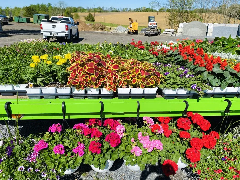 Custom yard cleanup service in Damascus, MD - Broadleaf Supplies