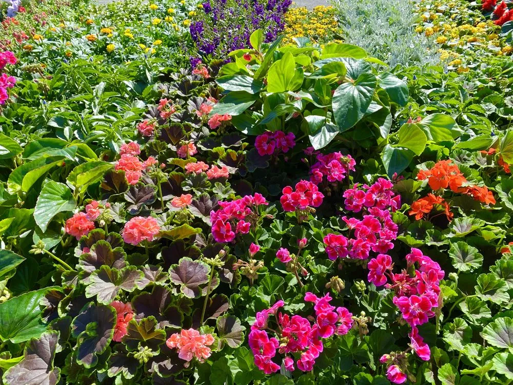 Custom outdoor landscaping for year-round maintenance across Damascus, MD - Broadleaf Supplies