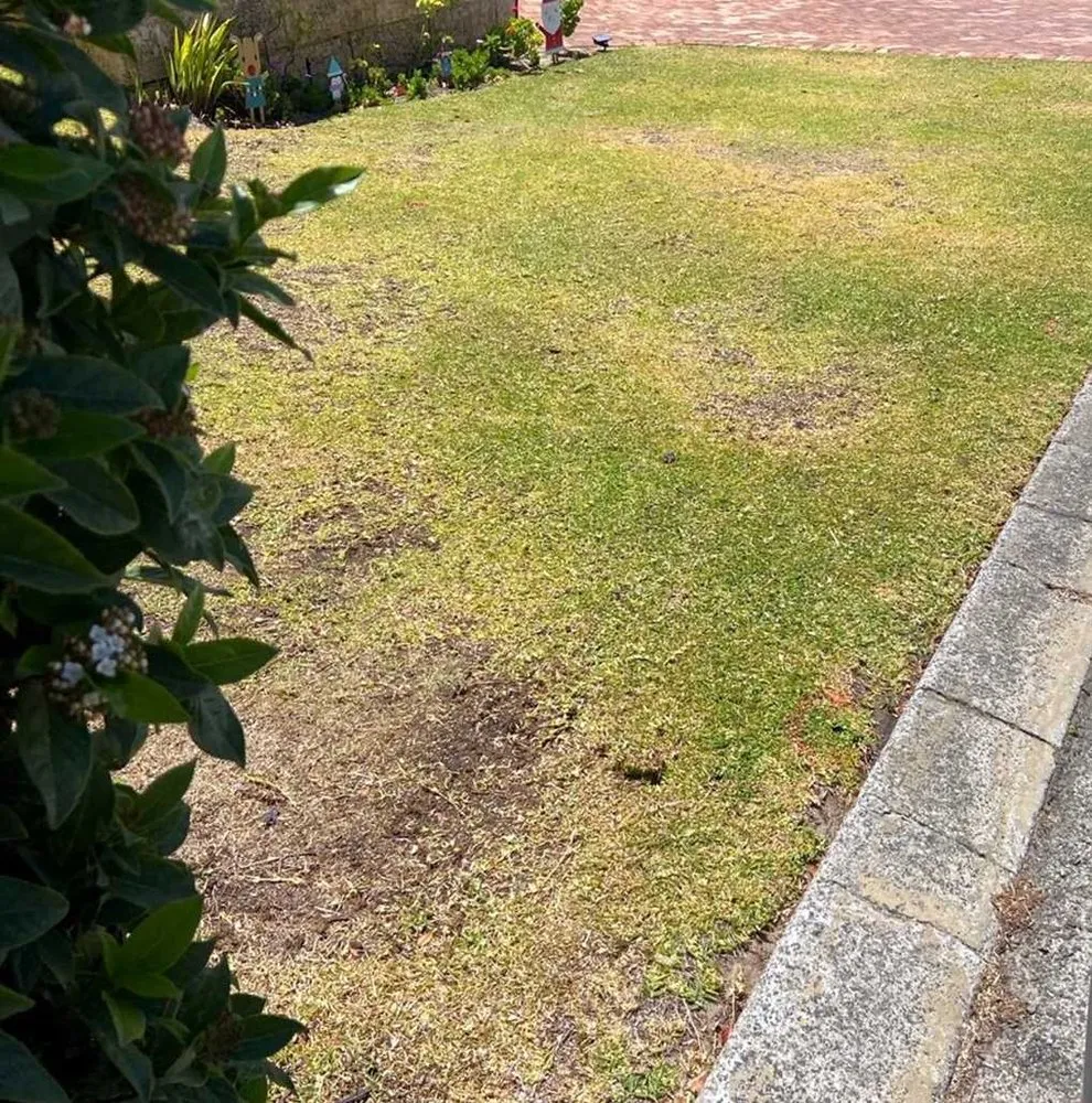 Expert residential landscaping in Seattle, WA - Broadmoor Lawn Services