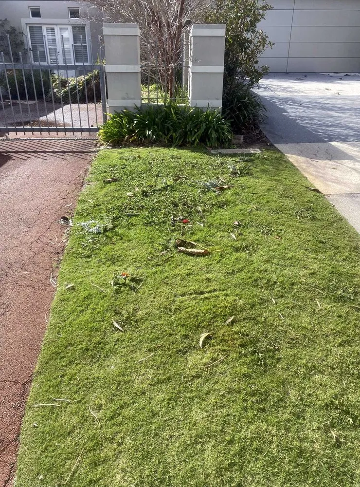 Top-rated garden landscaping for homes across Seattle, WA - Broadmoor Lawn Services