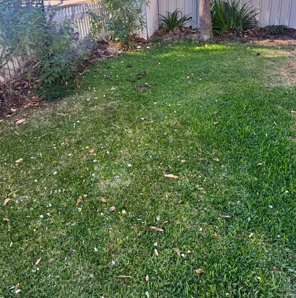 Local residential landscaping in Seattle, WA - Broadmoor Lawn Services