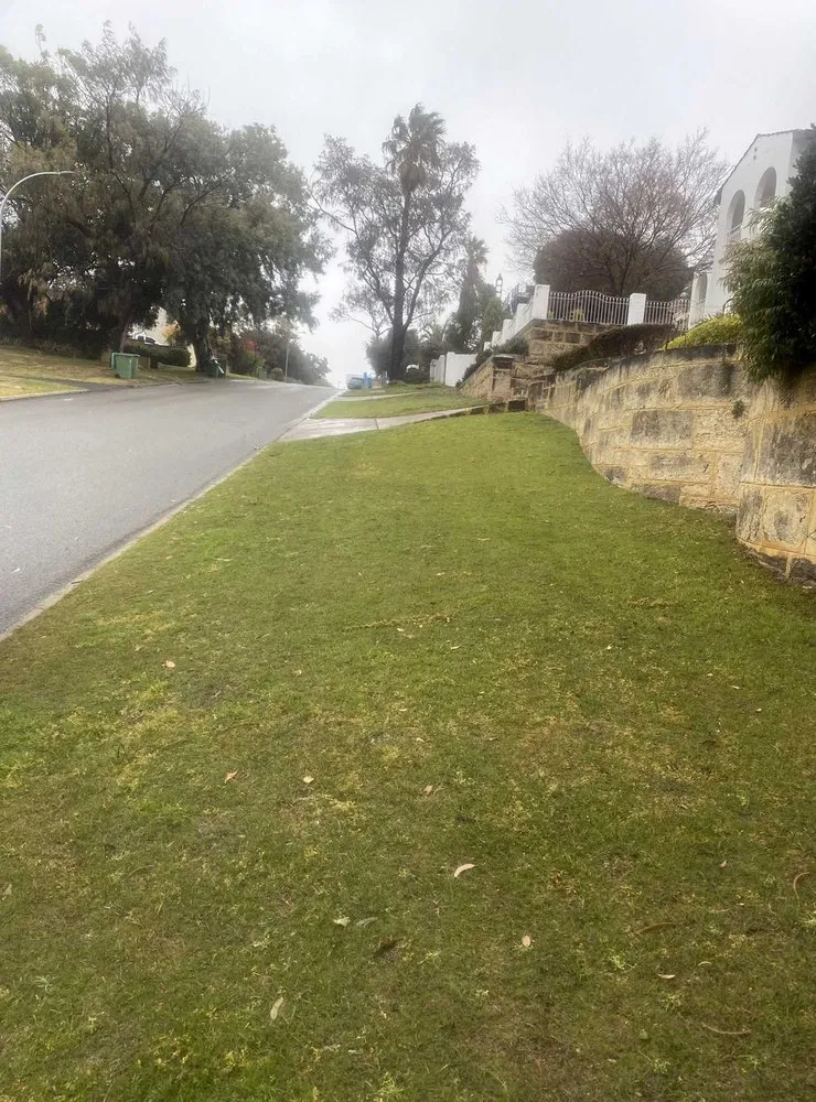 Local outdoor landscaping with custom design in Seattle, WA by Broadmoor Lawn Services