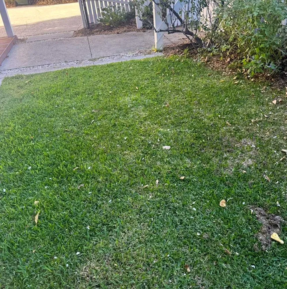 Reliable yard maintenance experts serving Seattle, WA - Broadmoor Lawn Services