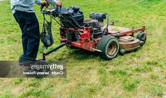 Reliable lawn mowing service in Seattle, WA by Broadmoor Lawn Services