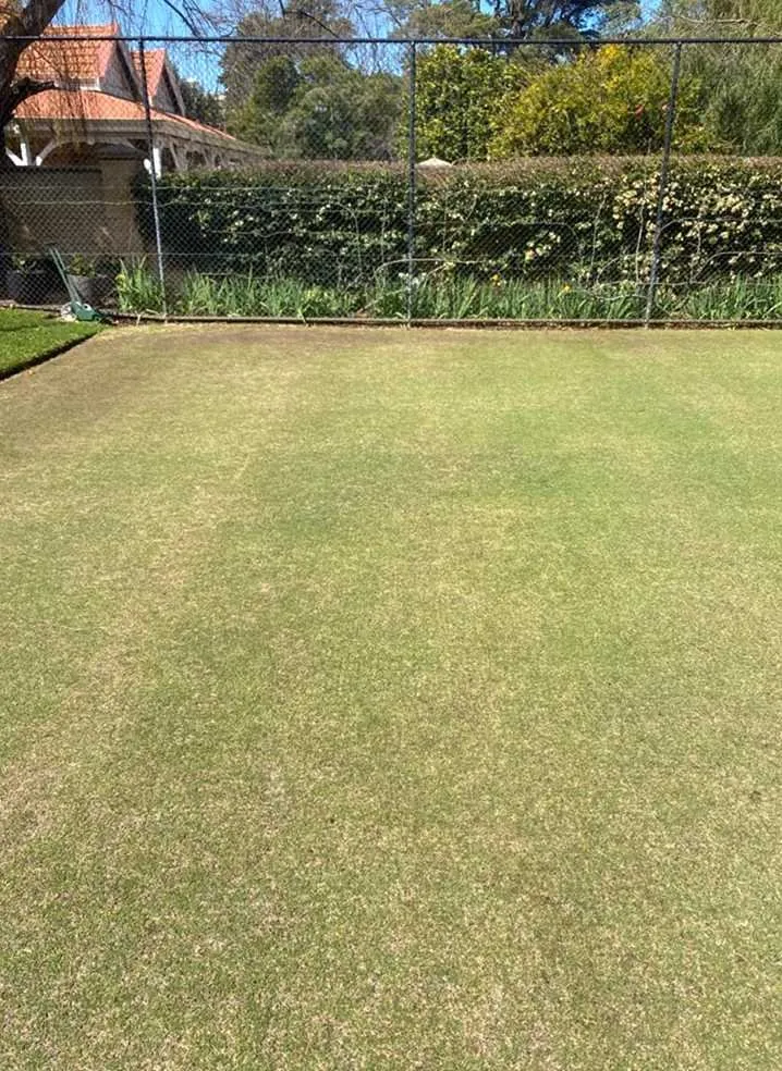 Local outdoor landscaping experts serving Seattle, WA - Broadmoor Lawn Services