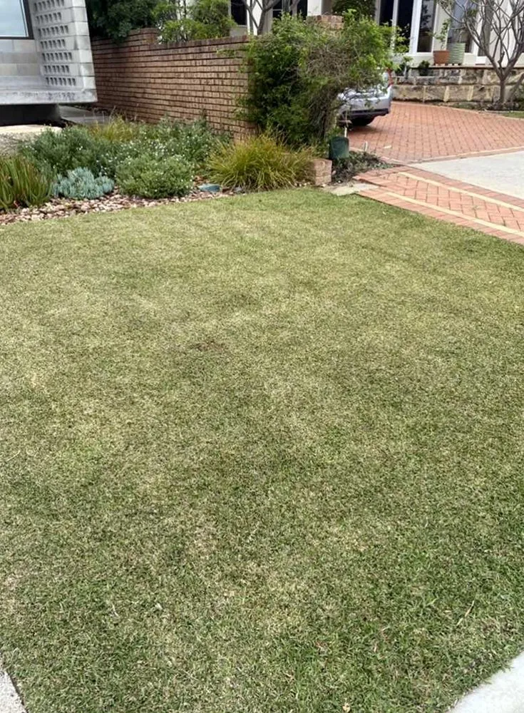 Affordable landscape installation in Seattle, WA - Broadmoor Lawn Services