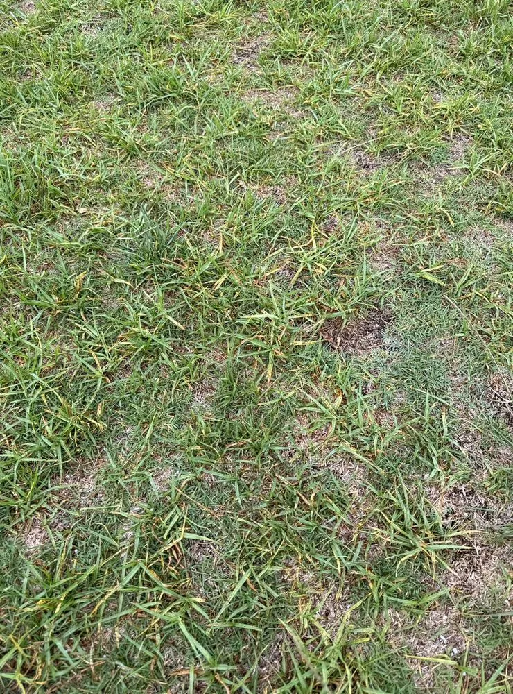 Custom garden landscaping in Seattle, WA by Broadmoor Lawn Services