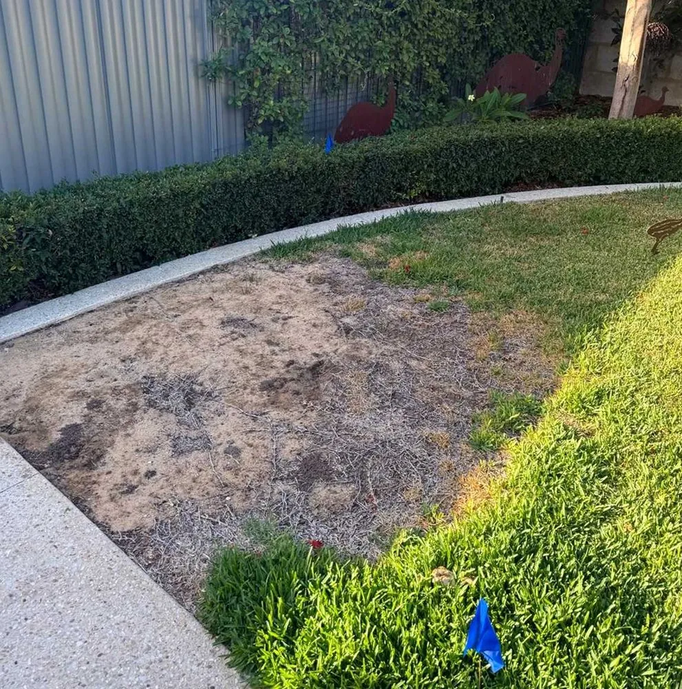 Expert outdoor landscaping experts serving Seattle, WA - Broadmoor Lawn Services