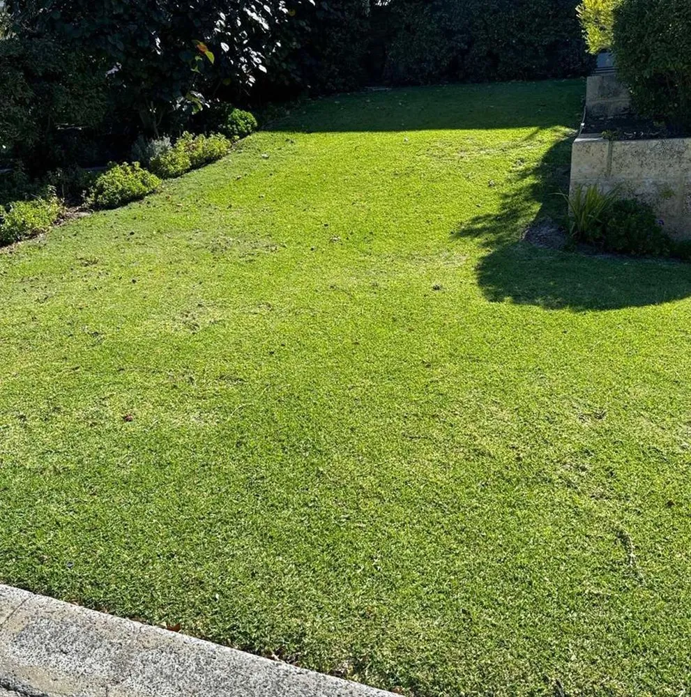 Reliable yard cleanup service in Seattle, WA - Broadmoor Lawn Services