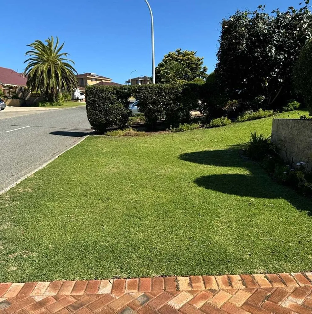 Local landscape installation experts serving Seattle, WA - Broadmoor Lawn Services