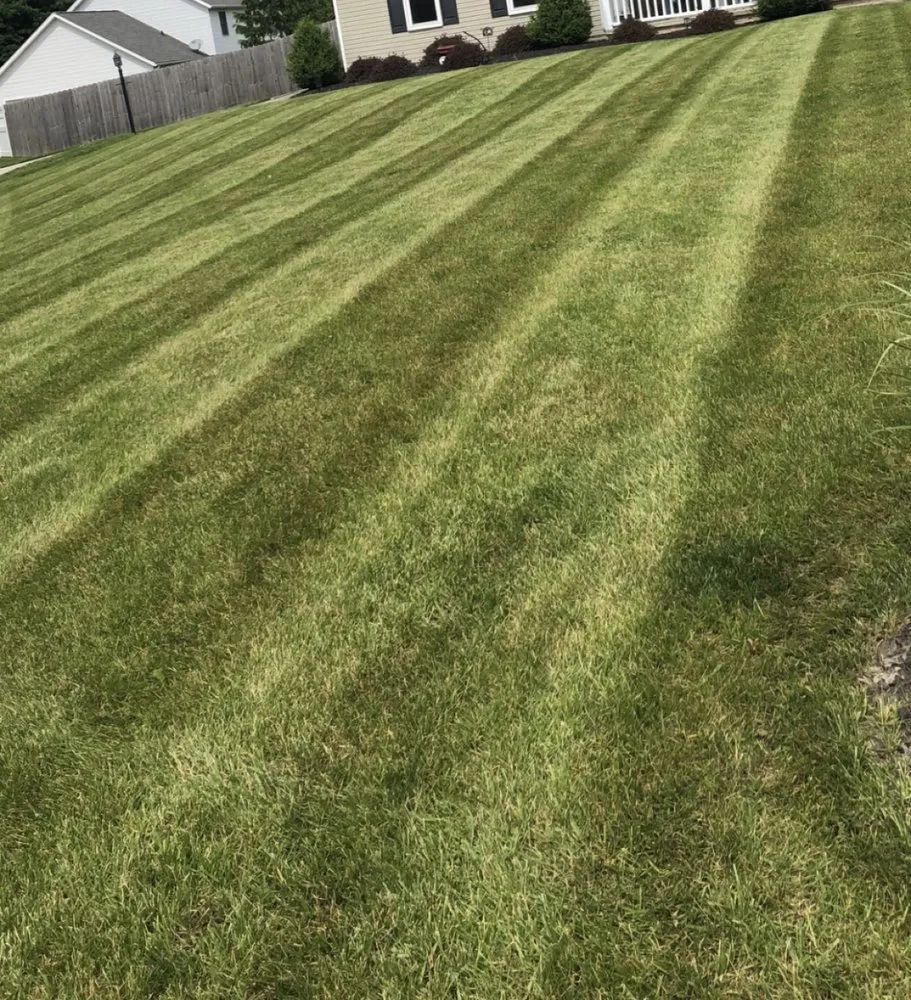 Professional landscape installation in North Royalton, OH by Broadview Lawn