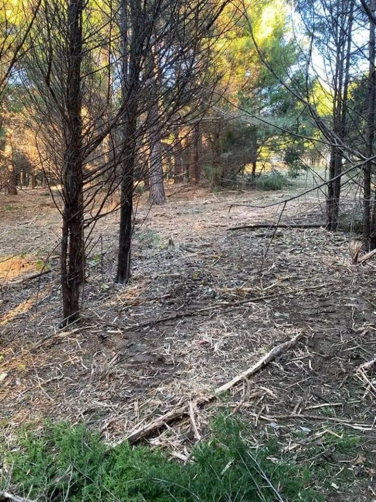 Trusted landscape design in Dickson, TN - Broadway Enterprises