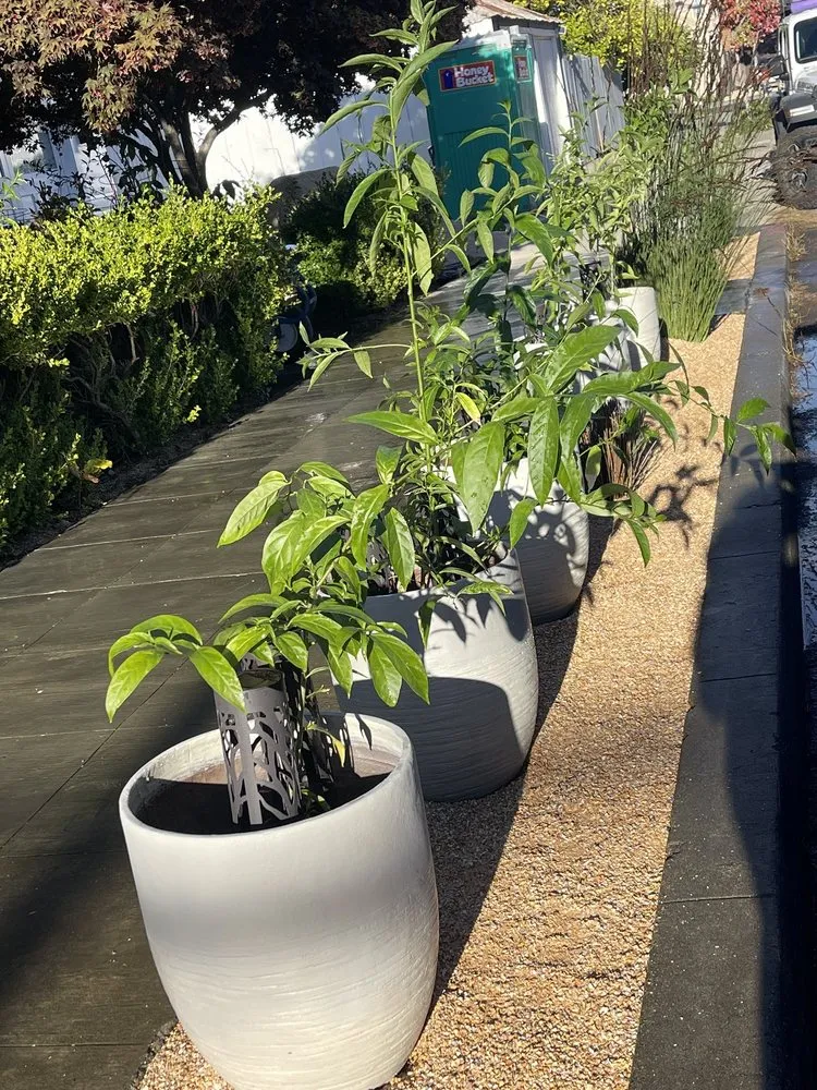 Trusted outdoor landscaping in American Canyon, CA by Broadway Landscape Materials