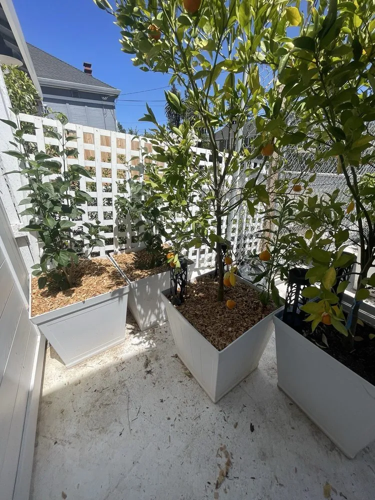 Top-rated lawn care service with custom design across American Canyon, CA - Broadway Landscape Materials