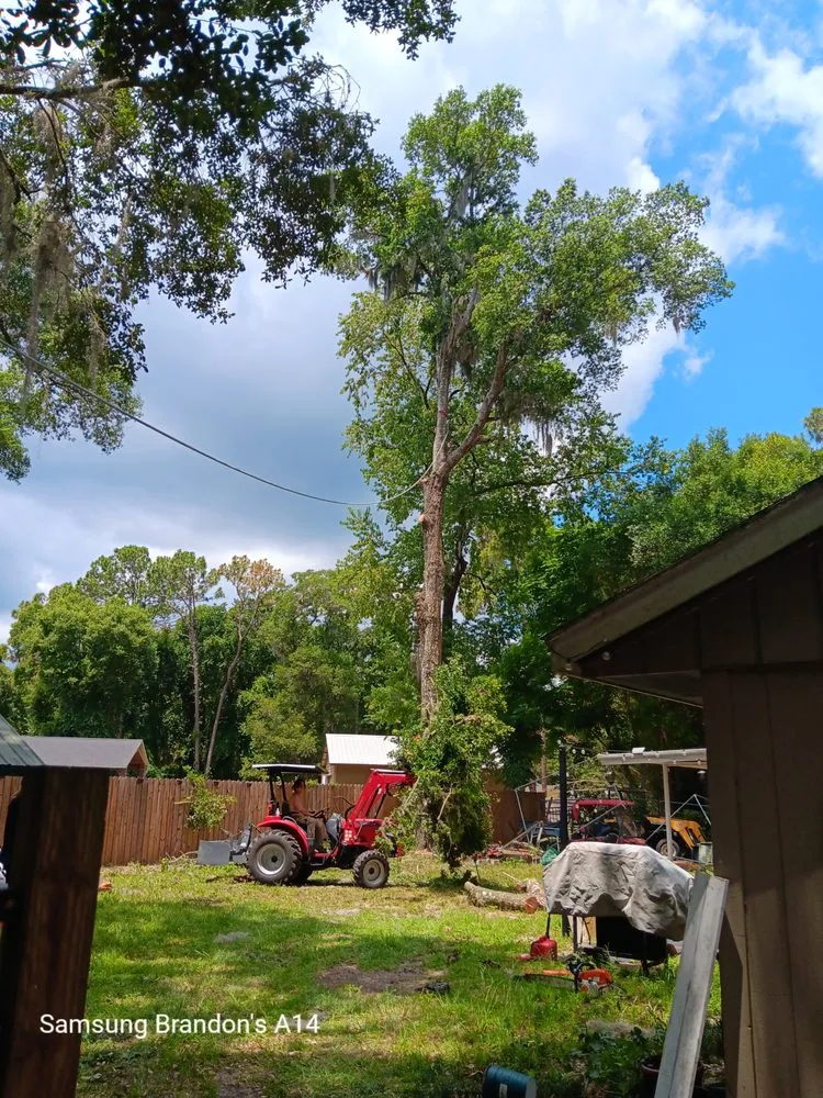 Professional lawn care service experts serving Keystone Heights, FL - Broadwell