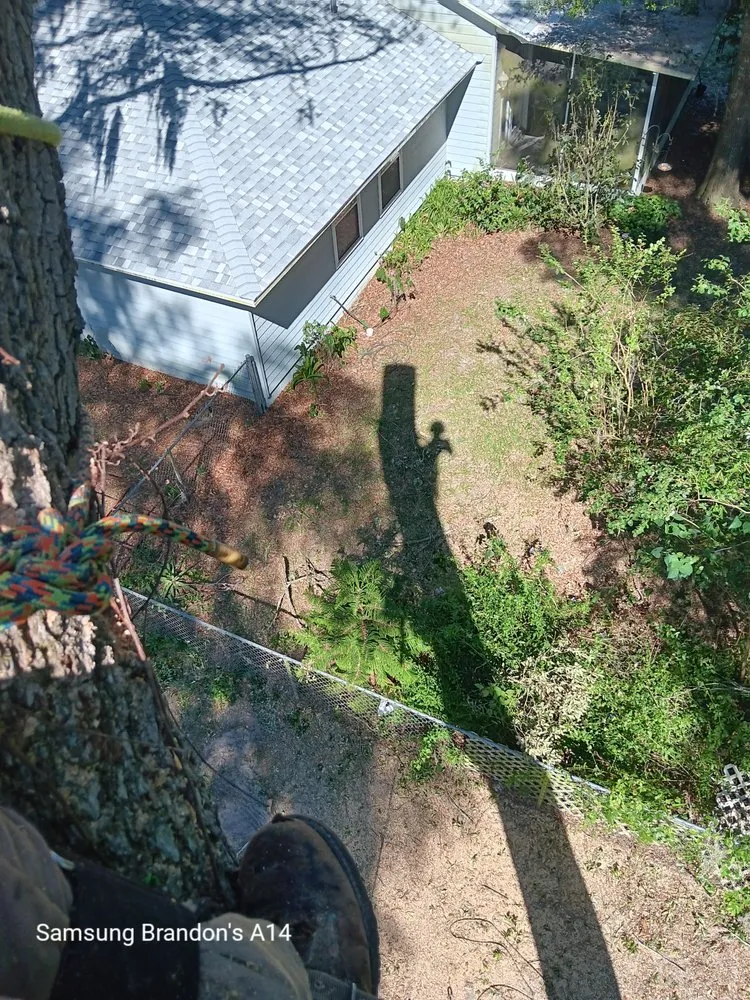 Reliable landscape design in Keystone Heights, FL by Broadwell