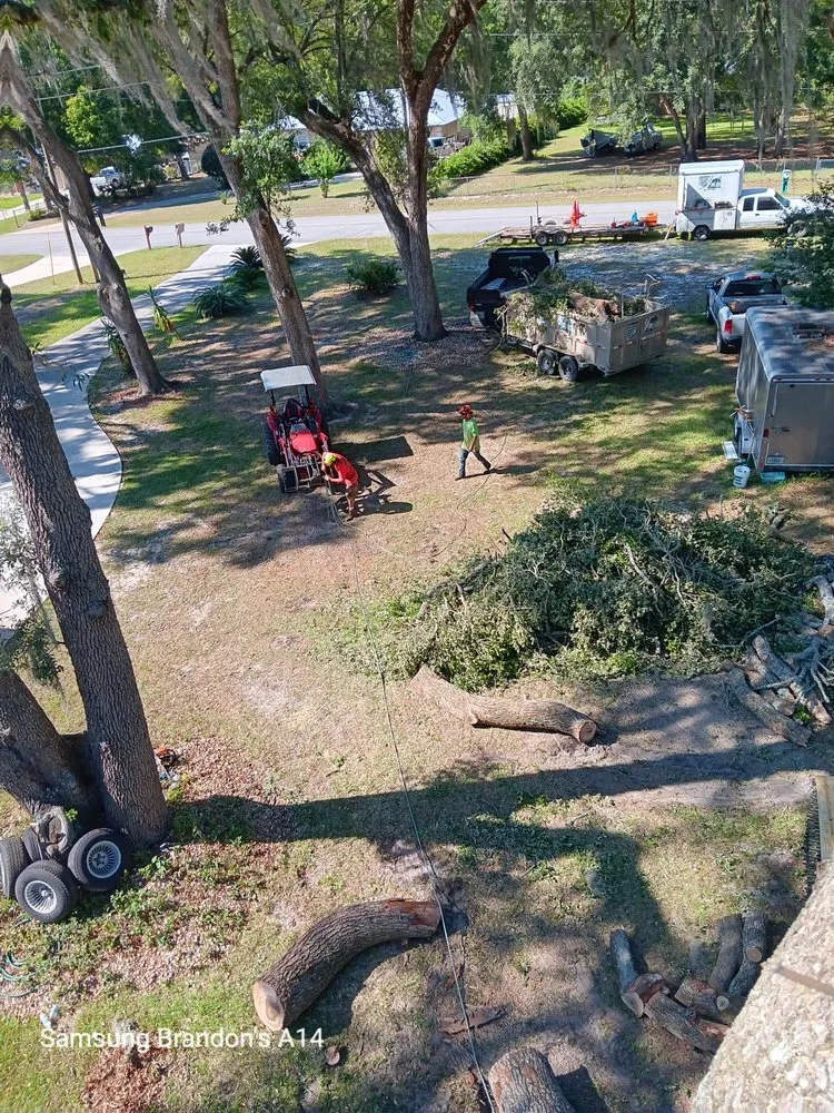 Top-rated landscape installation in Keystone Heights, FL - Broadwell