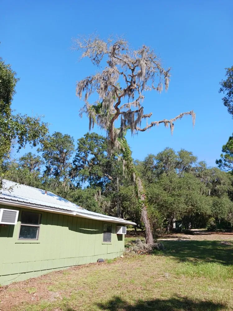 Custom lawn care service in Keystone Heights, FL - Broadwell