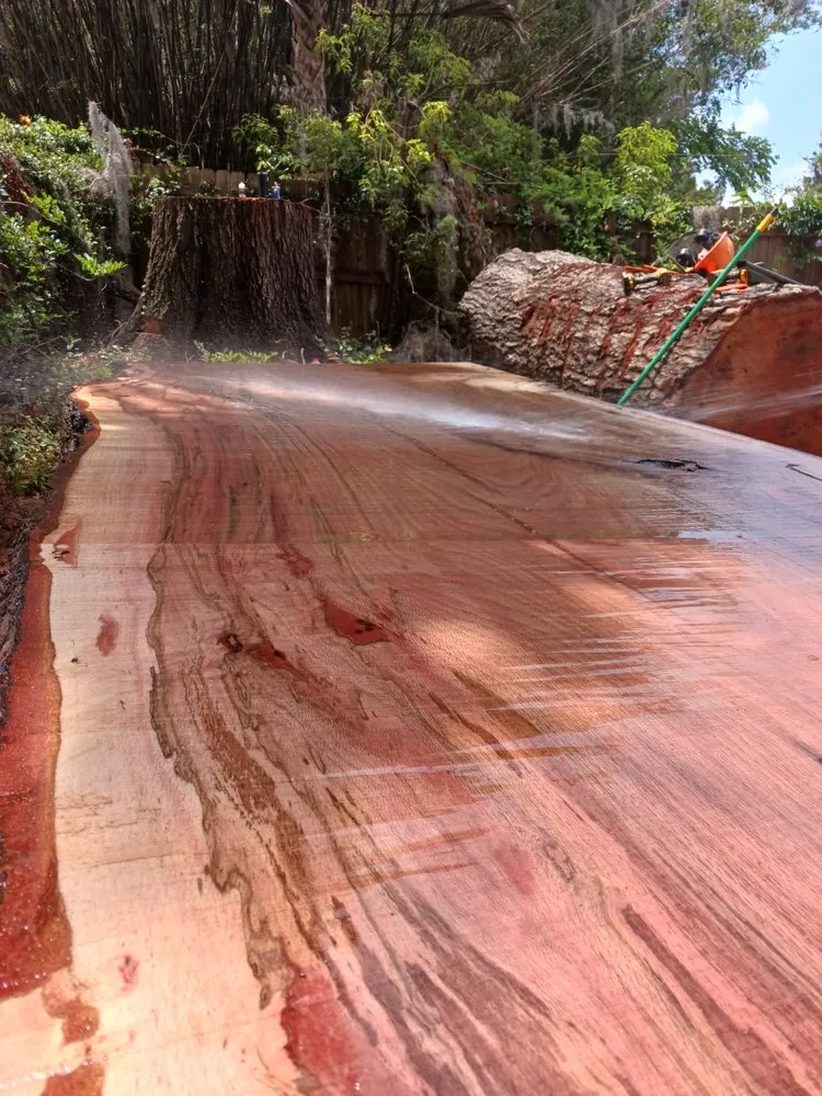 Local landscape installation in Keystone Heights, FL by Broadwell