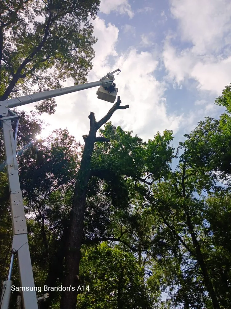 Affordable garden landscaping in Keystone Heights, FL by Broadwell