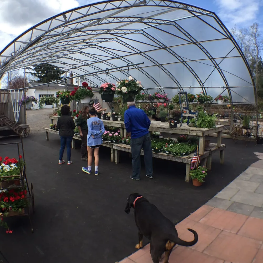 Top-rated yard cleanup service in Fairport, NY - Broccolo Lawn and Landscape