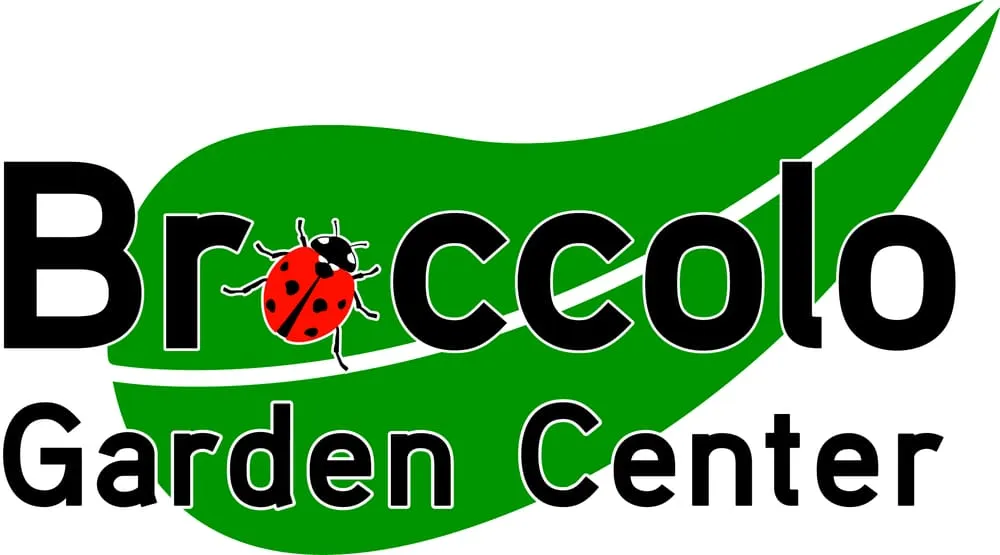 Trusted yard maintenance in Fairport, NY - Broccolo Lawn and Landscape