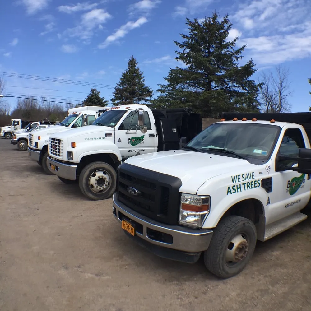 Trusted yard maintenance in Fairport, NY by Broccolo Lawn and Landscape