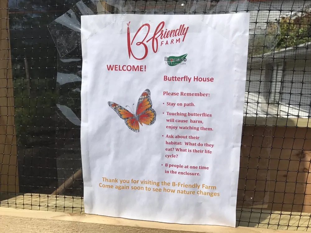 Expert garden landscaping with custom design in Fairport, NY by Broccolo Lawn and Landscape