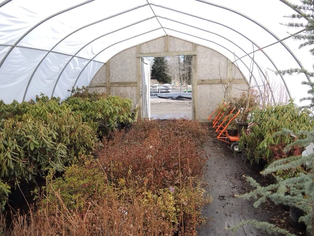 Trusted yard cleanup service for residential properties across Fairport, NY - Broccolo Lawn and Landscape