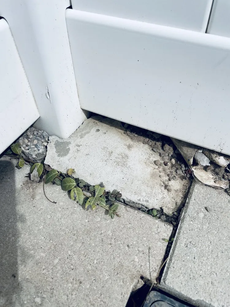 Trusted yard cleanup service for outdoor upgrades across Fairport, NY - Broccolo Lawn and Landscape