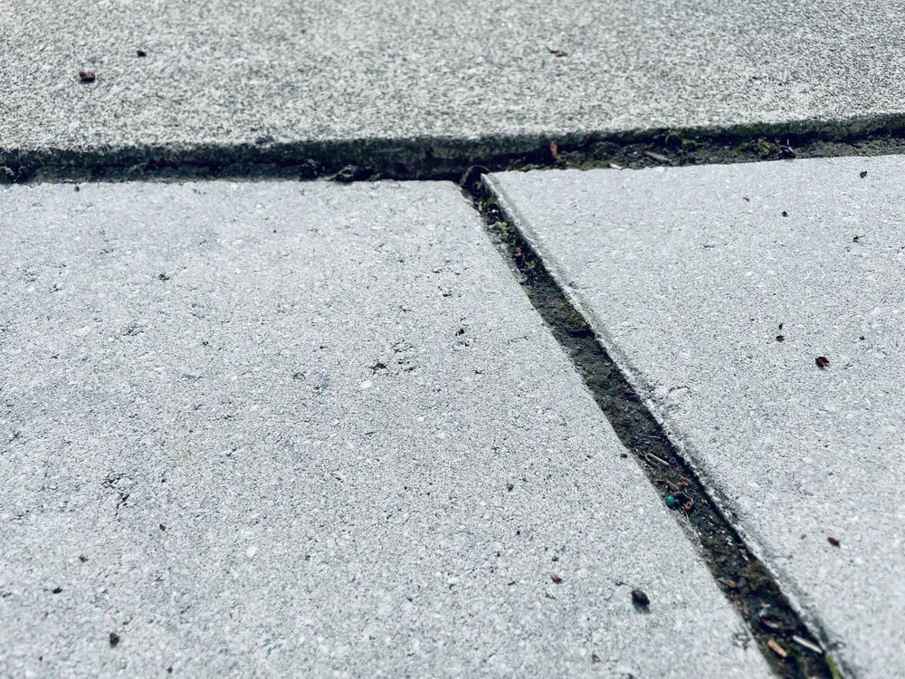 Local yard maintenance in Fairport, NY - Broccolo Lawn and Landscape