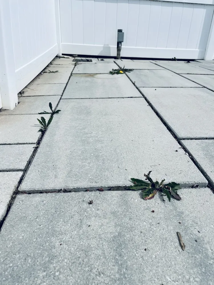 Reliable lawn mowing service near you across Fairport, NY - Broccolo Lawn and Landscape