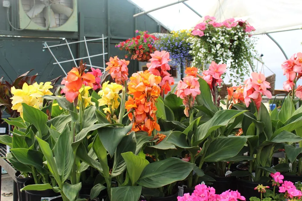 Affordable yard maintenance near you across Concord, NH - Brochu Nursery and Landscaping