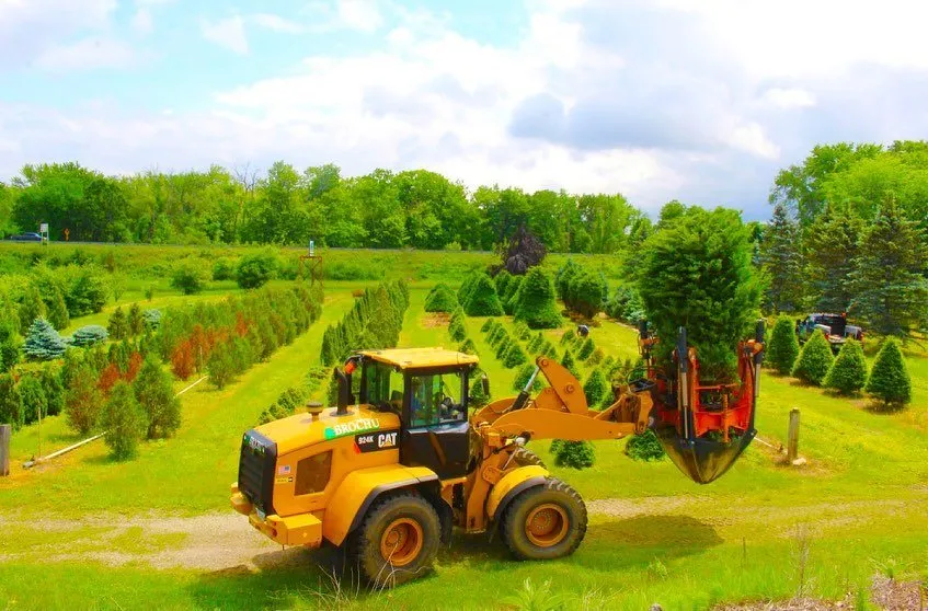 Trusted landscape design experts serving Concord, NH - Brochu Nursery and Landscaping