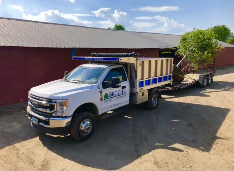 Local landscape design for beautiful yards in Concord, NH by Brochu Nursery and Landscaping